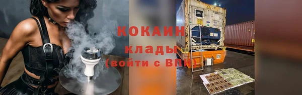 индика Алексеевка